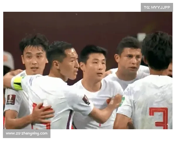 波黑1-2不敌奥地利 世预赛小组出线形势再度变数